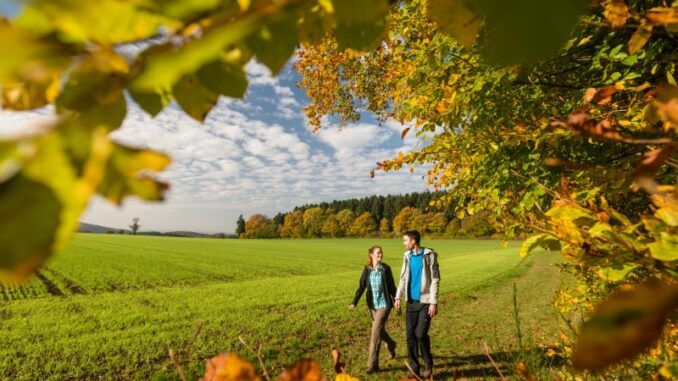 Herbstliche Natur © Rheinland-Pfalz-Tourismus-GmbH Foto: Dominik-Ketz